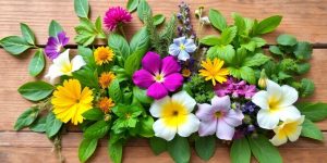 Assortment of ten calming herbs on wooden surface.